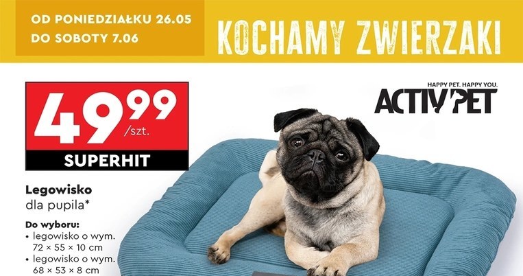 Akcesoria dla zwierząt w Biedronce /Biedronka /INTERIA.PL