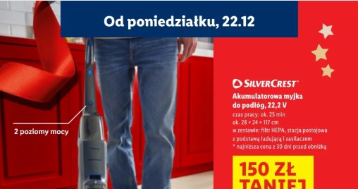 Akcesoria do sprzątania w Lidlu /Lidl /INTERIA.PL