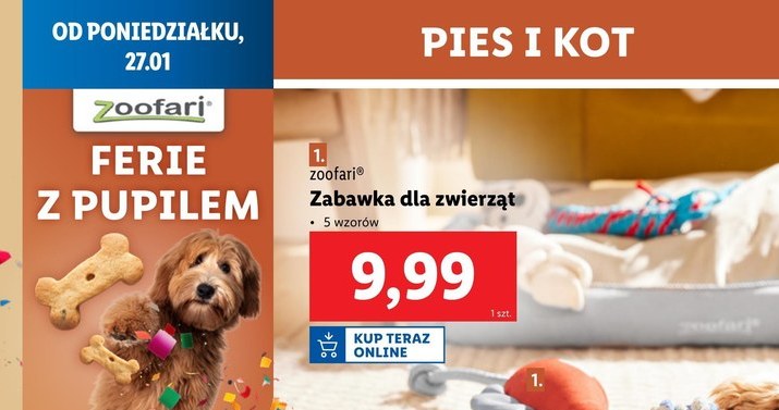 Akcesoria i gadżety dla pupili w Lidlu /Lidl /INTERIA.PL