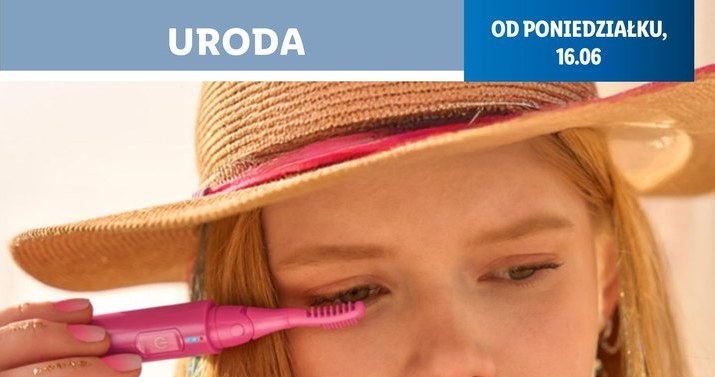 Akcesoria podróżne w Lidlu /Lidl /INTERIA.PL