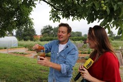 Akcja "Pyszne, bo polskie" w podpoznańskiej pasiece