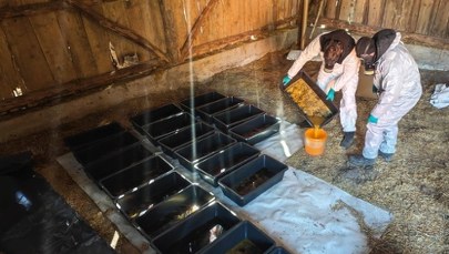 Akcja CBŚP na Podlasiu. Wytwórnia narkotyków już nie działa   