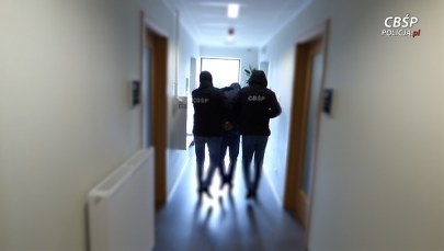 Akcja funkcjonariuszy CBŚP. Rozbili gang złodziei samochodów 