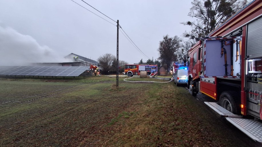 Akcja gaśnicza jest prowadzona zarówno z ziemi, jak i z podnośników /KP PSP w Tczewie /