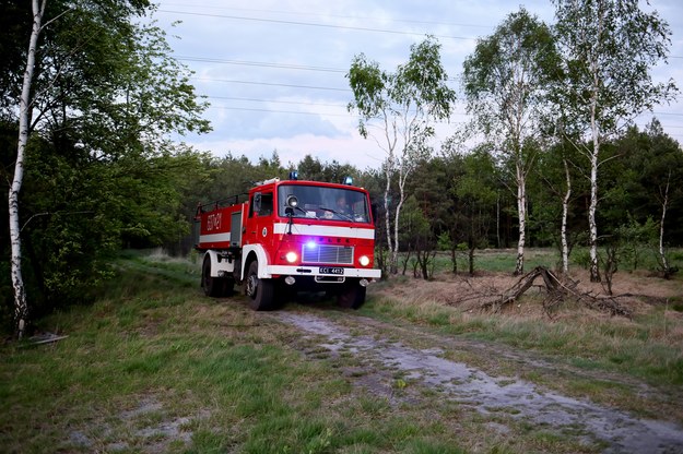 Akcja gaśnicza w okolicy drogi wojewódzkiej nr 908 w Żyglinku /Zbigniew Meissner /PAP