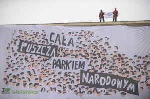 Akcja Greenpeace - cała Puszcza Białowieska parkiem narodowym