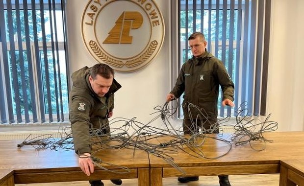 Akcja "kłusownik" w lasach koło Szczytna. Znaleziono wnyki