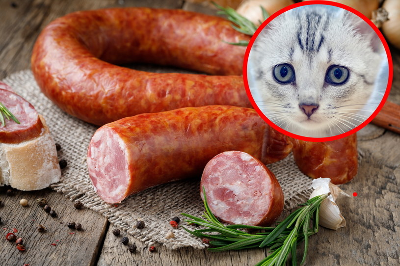 Akcja Kociego Smakosza poddaje w wątpliwość myślowe schematy dotyczące jedzenia mięsa /123RF/PICSEL