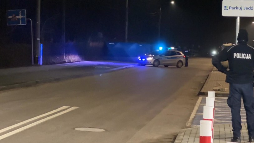 Akcja policji w Kobyłce /Polsat News