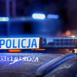 Akcja policji. Zlikwidowano dziuplę z kradzionymi samochodami