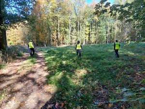 Akcja poszukiwawcza w lesie /KPP Jawor /Policja