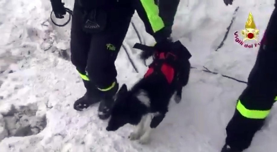 Akcja poszukiwawcza we Włoszech /ITALIAN FIRE DEPARTMENT HANDOUT  /PAP/EPA