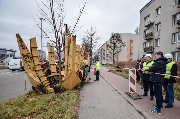 Akcja przesadzania drzew w Częstochowie /Marcin Buczek /RMF FM