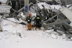 Akcja ratunkowa na terenie hali MTK