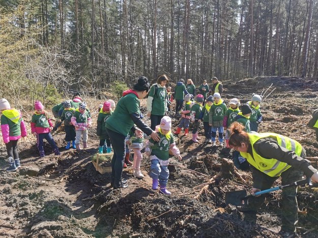 Akcja sadzenia drzew wspólnie z ukraińskimi dziećmi /RMF FM, Piotr Bułakowski /RMF FM