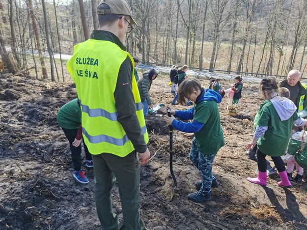 Akcja sadzenia drzew wspólnie z ukraińskimi dziećmi /RMF FM, Piotr Bułakowski /RMF FM