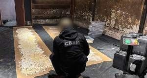 Akcja służb w dawnej stadninie koni. Złapani na gorącym uczynku