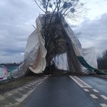 Akcja strażaków w Łajskach. Zerwany namiot blokuje drogę