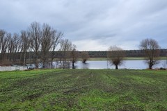 Akcja straży pożarnej na wale na Jeziorze Wonieskim