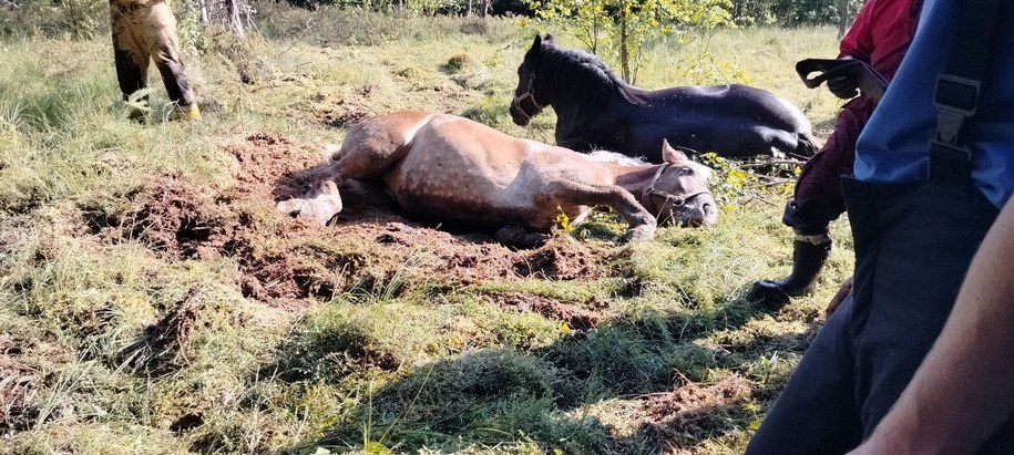 Akcja straży pożarnej w powiecie kartuskim /KP PSP Kartuzy /