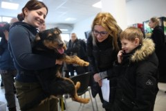 Akcja wydawania psów do tymczasowej adopcji w Schronisku dla Bezdomnych Zwierząt w Krakowie