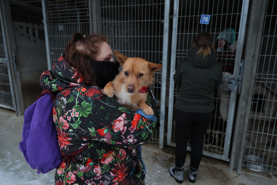 Akcja zabierania psów ze schroniska w Sobolewie /Paweł Supernak  /PAP