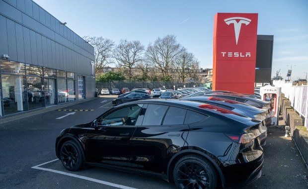 Akcje Tesli spadają od siedmiu tygodni