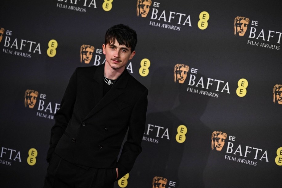 Aktor Timothee Chalamet /BEN STANSALL/AFP/East News /East News