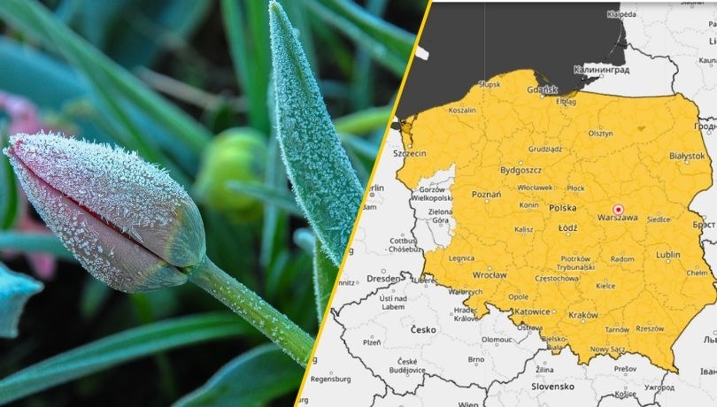 Aktualna prognoza pogody: IMGW wydał ostrzeżenia przed przymrozkami /IMGW /Shutterstock