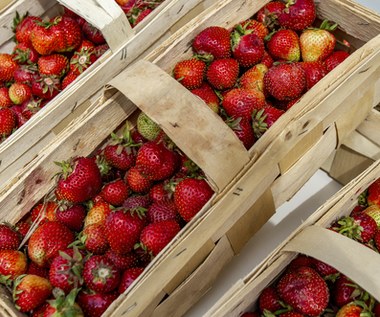 Aktualne ceny owoców 2022. Ile kosztuje kilogram truskawek, czereśni, bananów na giełdzie w Broniszach?