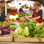 Aktualne ceny owoców i warzyw. Ile kosztuje kilogram malin, ziemniaków i pomidorów?