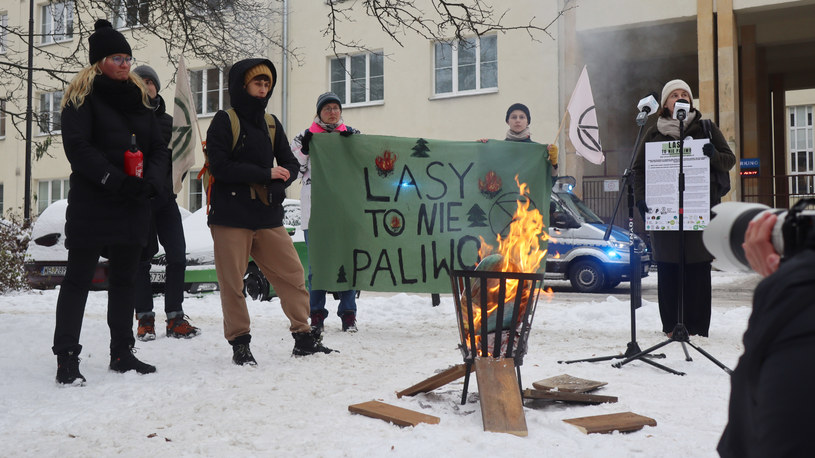 Aktywiści chcą odejścia od dopłat do spalania w elektrowniach pierwotnej biomasy drzewnej i zaprzestania traktowania pozyskanej w ten sposób energii jako energii odnawialnej /Jakub Wojajczyk /INTERIA.PL