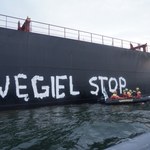 Aktywiści Greenpeace zostaną dziś zwolnieni