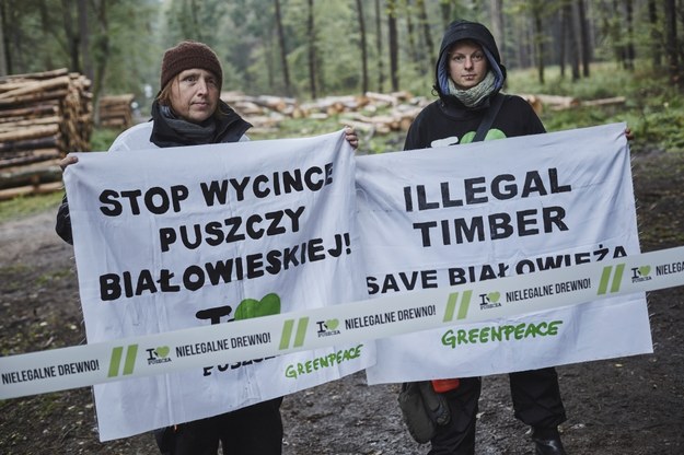 Aktywiści Greenpeace /Greenpeace/ fot. Grzegorz Broniatowski /