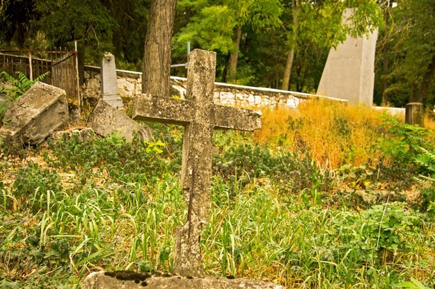 Aktywiści interweniują w sprawie zagrożonych cmentarzy, starają się je chronić, ale też w dużej mierze zajmują się prawem. /Shutterstock