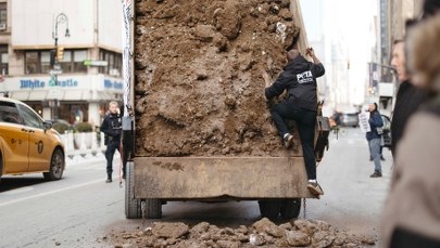 Aktywiści próbowali zrzucić obornik na ulicę. Mróz spłatał im figla