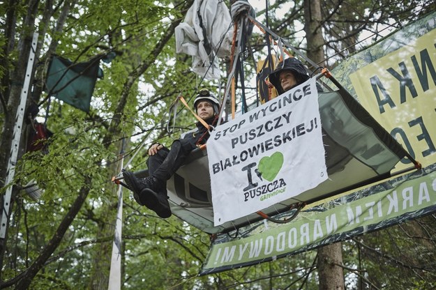 Aktywiści w Puszczy /Greenpeace/fot. Grzegorz Broniatowski /