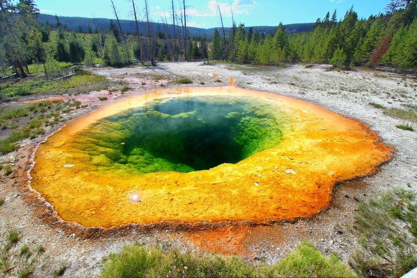 Aktywność hydrotermalna w obrębie kaldery superwulkanu Yellowstone gwałtownie wzrosła /123RF/PICSEL