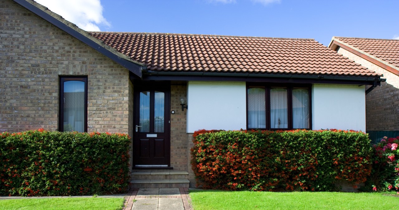 Акуратний газон біля будинку - як правильно за ним доглядати? /pixabay.com