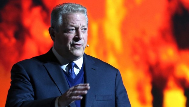 Al Gore / 	Andrzej Grygiel    /PAP