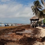 Alarm dla turystów! Rajskie plaże cuchną zgniłymi jajami