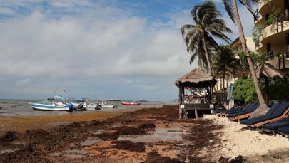 Alarm dla turystów! Rajskie plaże cuchną zgniłymi jajami