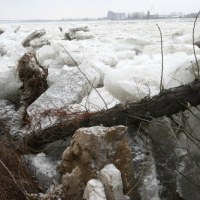 W Płocku, kra miejscami wychodzi na brzeg
