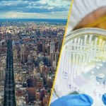 Alarm w Nowym Jorku. Wróciła groźna choroba: 90 przypadków, trzy ofiary śmiertelne