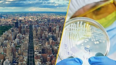 ​Alarm w Nowym Jorku. Wróciła groźna choroba: 90 przypadków, trzy ofiary śmiertelne