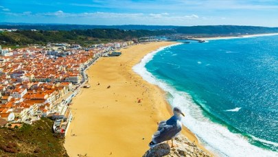 Alarm w popularnym kurorcie. Padają oskarżenia o sabotaż