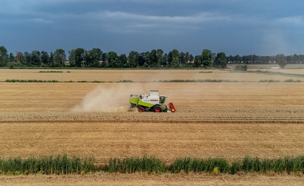 Alarmujące dane GUS: Ceny skupu produktów rolnych w dół. Co dalej z polskim rolnictwem?