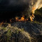 Alarmujące dane: tysiące pożarów traw od początku roku. Olbrzymie straty