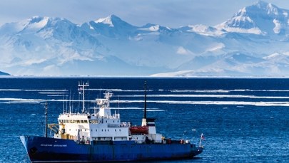 Alarmujące odkrycie u wybrzeży Antarktydy. To może przyspieszyć zmiany klimatu