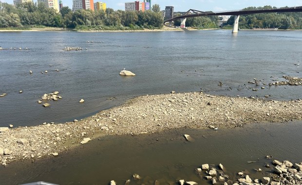 Alarmujące prognozy dla Wisły. Mogą pojawić się wartości ujemne